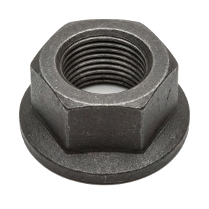 PA6000 GBK Movable Wheel Nut, 33mm, Grade 10, Box of 130